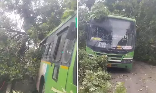 चिंचवाड़ स्टेशन के पास चलती PMPML बस पर पेड़ गिरा; सात लोग घायल