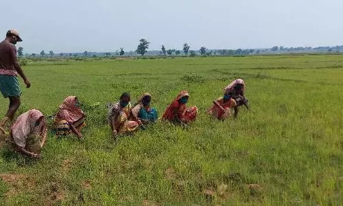 AP ने राजधानी अमरावती के लिए नई भूमि पूलिंग के लिए नियम अधिसूचित किए AP ने राजधानी अमरावती के लिए नई भूमि पूलिंग के लिए नियम अधिसूचित किए