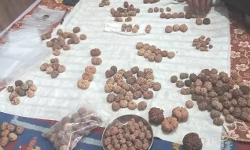 पूर्वी नेपाल में रुद्राक्ष की धूम में चीनी व्यापारी भी भारतीय व्यापारियों के साथ शामिल