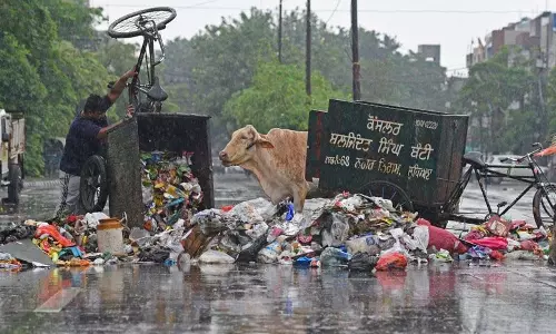 Ludhiana: वेतन न मिलने के विरोध में सफाई कर्मचारियों ने सड़क पर फेंका कूड़ा Ludhiana: वेतन न मिलने के विरोध में सफाई कर्मचारियों ने सड़क पर फेंका कूड़ा