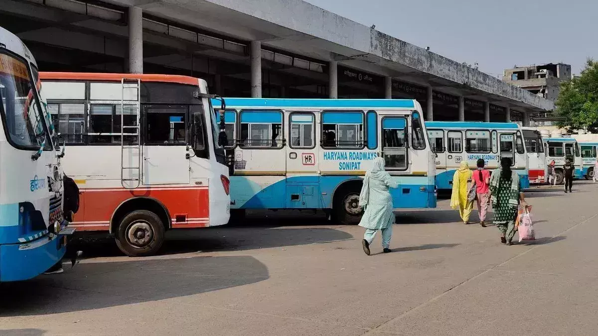 Rohtak: रोडवेज में सफर करने वाले यात्रियों के लिए बड़ा झटका, बसें नहीं चलेंगी Rohtak: रोडवेज में सफर करने वाले यात्रियों के लिए बड़ा झटका, बसें नहीं चलेंगी
