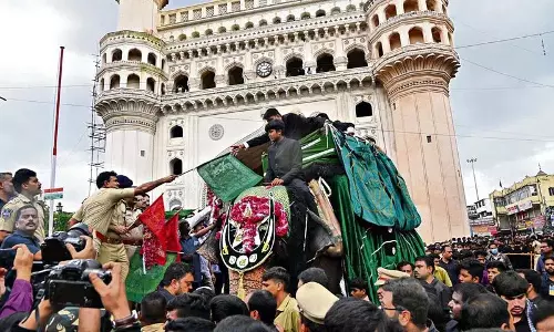 Hyderabad में बीबी का आलम जुलूस का नेतृत्व करेंगी हथिनी लक्ष्मी