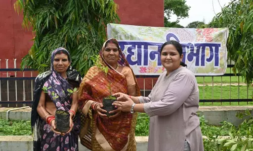 उद्यानिकी विभाग ने 500 पौधों का किया निःशुल्क वितरण उद्यानिकी विभाग ने 500 पौधों का किया निःशुल्क वितरण