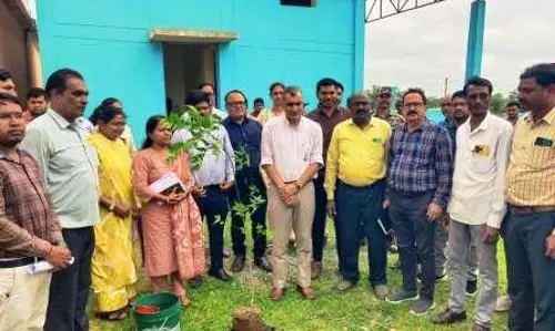 कलेक्टर शर्मा ने नवागढ़ ब्लॉक के मुरता में उचित मूल्य दुकान का किया औचक निरीक्षण कलेक्टर शर्मा ने नवागढ़ ब्लॉक के मुरता में उचित मूल्य दुकान का किया औचक निरीक्षण