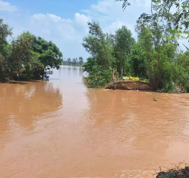 Haryana: नैसी गांव के पास मारकंडा नदी टूटी, 500 एकड़ से अधिक कृषि भूमि जलमग्न Haryana: नैसी गांव के पास मारकंडा नदी टूटी, 500 एकड़ से अधिक कृषि भूमि जलमग्न