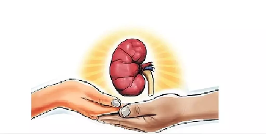 इस वर्ष तमिलनाडु में 129 लोगों ने अंगदान किया: 725 लोगों का पुनर्वास किया गया इस वर्ष तमिलनाडु में 129 लोगों ने अंगदान किया: 725 लोगों का पुनर्वास किया गया