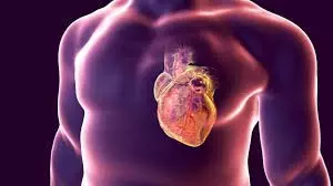 Health: अगर दिल 50% से कम काम कर रहा है तो जरूर दिख रहे हैं ये लक्षण, न करें नजरअंदाज Health: अगर दिल 50% से कम काम कर रहा है तो जरूर दिख रहे हैं ये लक्षण, न करें नजरअंदाज