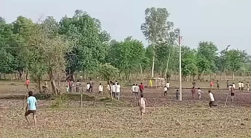 MP : छतरपुर में भालू ने गांव में घुसकर लोगों को डराया MP : छतरपुर में भालू ने गांव में घुसकर लोगों को डराया