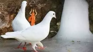 धर्म: जानिए अमरनाथ गुफा में कबूतरों के जोड़े का क्या है रहस्य धर्म: जानिए अमरनाथ गुफा में कबूतरों के जोड़े का क्या है रहस्य