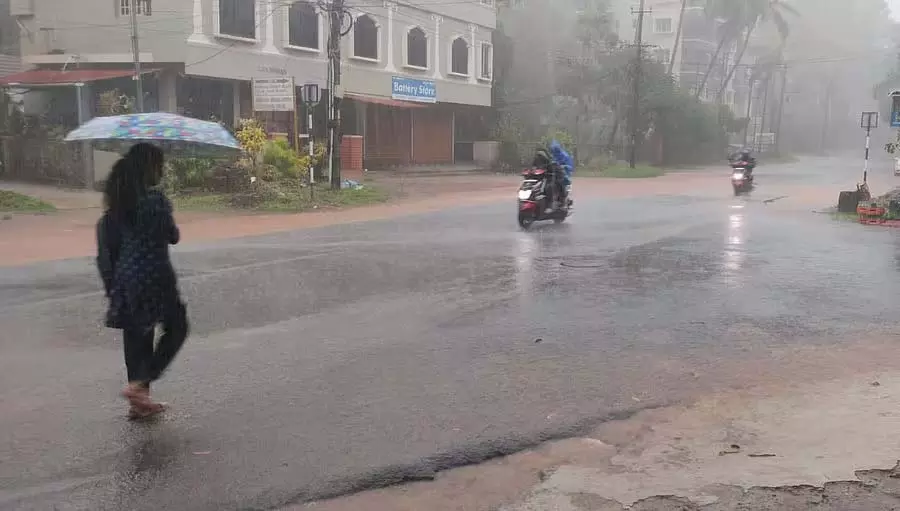 मलनाड में भारी बारिश; होसनगरा और सागरा तालुक में आज स्कूल बंद रहेंगे मलनाड में भारी बारिश; होसनगरा और सागरा तालुक में आज स्कूल बंद रहेंगे