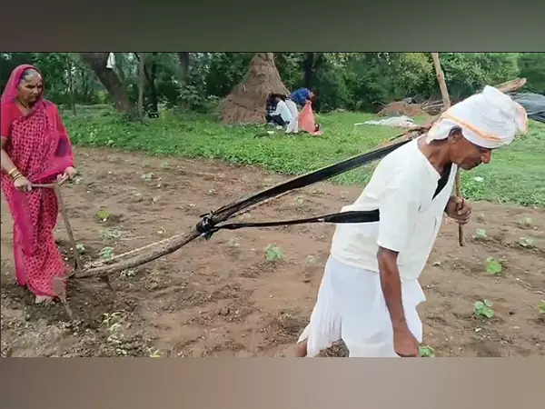 Maharashtra: आर्थिक तंगी के कारण 76 वर्षीय किसान 10 साल से हाथ से खेत जोत रहा Maharashtra: आर्थिक तंगी के कारण 76 वर्षीय किसान 10 साल से हाथ से खेत जोत रहा