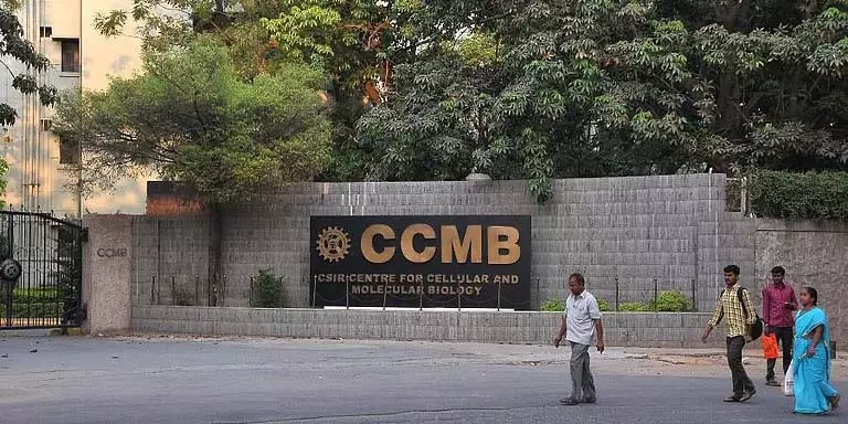 CCMB के अध्ययन से एशिया में प्रजातियों के विकास पर प्रकाश पड़ा CCMB के अध्ययन से एशिया में प्रजातियों के विकास पर प्रकाश पड़ा