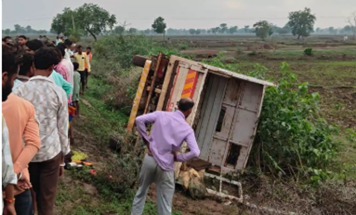 खैरागढ़ में 24 मजदूर घायल, पिकअप पलटी खैरागढ़ में 24 मजदूर घायल, पिकअप पलटी