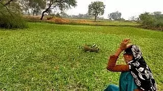 MP : मालवा-निमाड़ क्षेत्र में डीएपी उर्वरक की बड़े पैमाने पर कालाबाजारी की खबर MP : मालवा-निमाड़ क्षेत्र में डीएपी उर्वरक की बड़े पैमाने पर कालाबाजारी की खबर