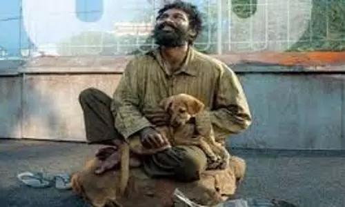 Entertainment: धनुष की कुबेर की बॉक्स ऑफिस पर धीमी हुई रफ्तार, 13वें दिन कमाए सिर्फ 80 लाख
