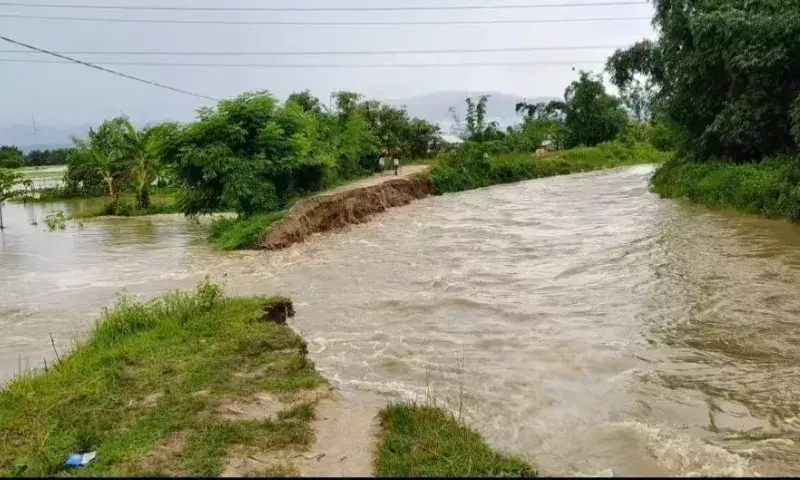 Assam: लखीमपुर जिले में बाढ़ की दूसरी लहर के कारण सड़कें टूटीं Assam: लखीमपुर जिले में बाढ़ की दूसरी लहर के कारण सड़कें टूटीं