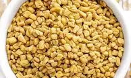 Health: मधुमेह को नियंत्रित करने वाले 3 सुपरसीड्स, डाइट में जरूर शामिल करें Health: मधुमेह को नियंत्रित करने वाले 3 सुपरसीड्स, डाइट में जरूर शामिल करें