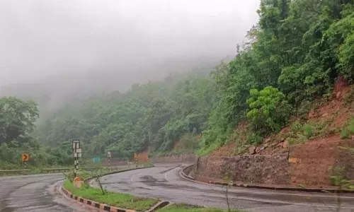 कांजीपानी में मानसून का जादू बना आकर्षण का केंद्र कांजीपानी में मानसून का जादू बना आकर्षण का केंद्र