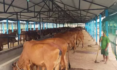 Garukhuti : घोटाले का आरोप, कांग्रेस ने केंद्र से की CBI जांच की सिफारिश Garukhuti : घोटाले का आरोप, कांग्रेस ने केंद्र से की CBI जांच की सिफारिश