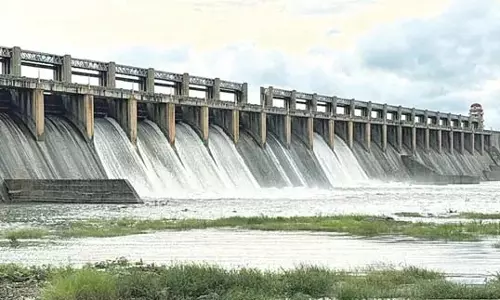 Andhra : तुंगभद्रा से नीचे की ओर बहने वाला पानी Andhra : तुंगभद्रा से नीचे की ओर बहने वाला पानी