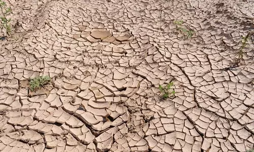 राजनीतिक अस्थिरता के बीच, संयुक्त राष्ट्र ने अफगानिस्तान में तेजी से फैल रहे सूखे की रिपोर्ट दी राजनीतिक अस्थिरता के बीच, संयुक्त राष्ट्र ने अफगानिस्तान में तेजी से फैल रहे सूखे की रिपोर्ट दी