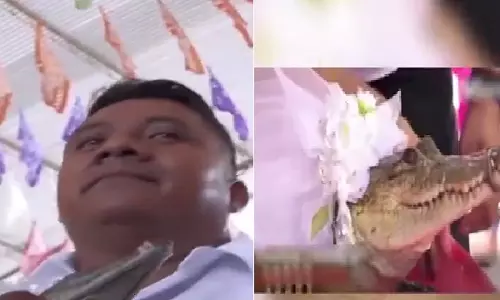 दुनिया की विचित्र परंपराएं: Mexican मेयर ने मगरमच्छ से की शादी
