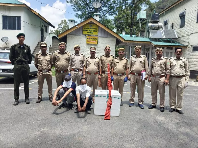 Himachal: हिमालयन गोरल के शिकार के लिए 2 लोग गिरफ्तार Himachal: हिमालयन गोरल के शिकार के लिए 2 लोग गिरफ्तार