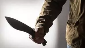 डांट से नाराज घरेलू सहायिका ने मालिक और उसके किशोर बेटे की हत्या कर दी डांट से नाराज घरेलू सहायिका ने मालिक और उसके किशोर बेटे की हत्या कर दी
