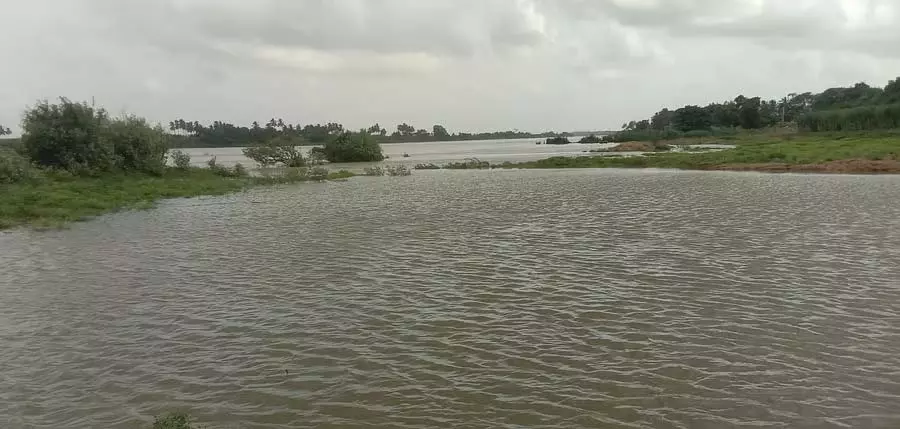 Karnataka : तुंगभद्रा की सफाई के लिए कार्ययोजना विकसित करे Karnataka : तुंगभद्रा की सफाई के लिए कार्ययोजना विकसित करे
