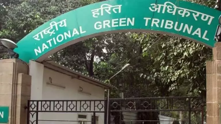 उद्योग के लिए वन भूमि के अवैध हस्तांतरण पर NGT की नजर उद्योग के लिए वन भूमि के अवैध हस्तांतरण पर NGT की नजर