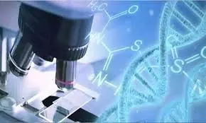 ऑस्ट्रेलियाई वैज्ञानिकों ने कैंसर से लड़ने वाले प्रोटीन की खोज की ऑस्ट्रेलियाई वैज्ञानिकों ने कैंसर से लड़ने वाले प्रोटीन की खोज की