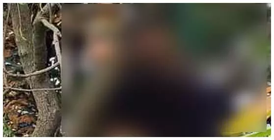 प्रेमी युगल के शव पेड़ से लटके पाए गए, हत्या या आत्महत्या? जांच में जुटी पुलिस प्रेमी युगल के शव पेड़ से लटके पाए गए, हत्या या आत्महत्या? जांच में जुटी पुलिस