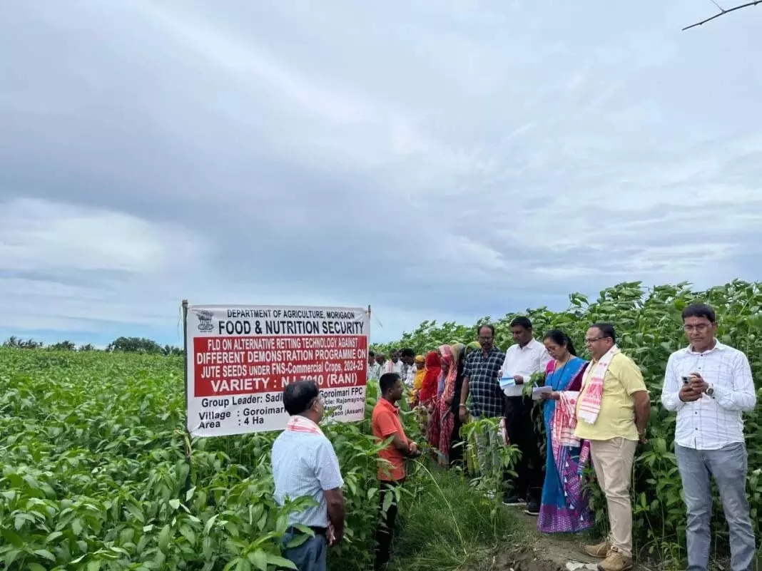 Assam: जूट विकास अधिकारी ने मोरीगांव में कृषि योजनाओं की समीक्षा की Assam: जूट विकास अधिकारी ने मोरीगांव में कृषि योजनाओं की समीक्षा की