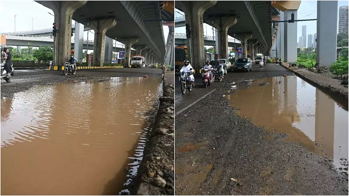 सेवरी की बीपीटी सड़क गड्ढों से जर्जर, वाहन चालकों की मुश्किलें बढ़ीं सेवरी की बीपीटी सड़क गड्ढों से जर्जर, वाहन चालकों की मुश्किलें बढ़ीं