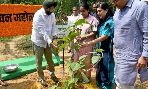 सीएम ने किया वन महोत्सव समारोह का उद्घाटन सीएम ने किया वन महोत्सव समारोह का उद्घाटन