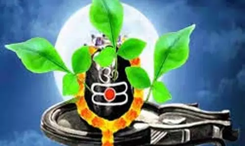 Sawan 2025: सावन के महीने में दूध और साग का सेवन क्यों माना जाता है वर्जित, ये है बड़ी वजह
