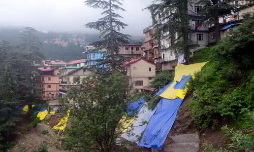 Shimla : भूस्खलन से फोरलेन पुल ध्वस्त, डेढ़ दर्जन मकान खतरे में