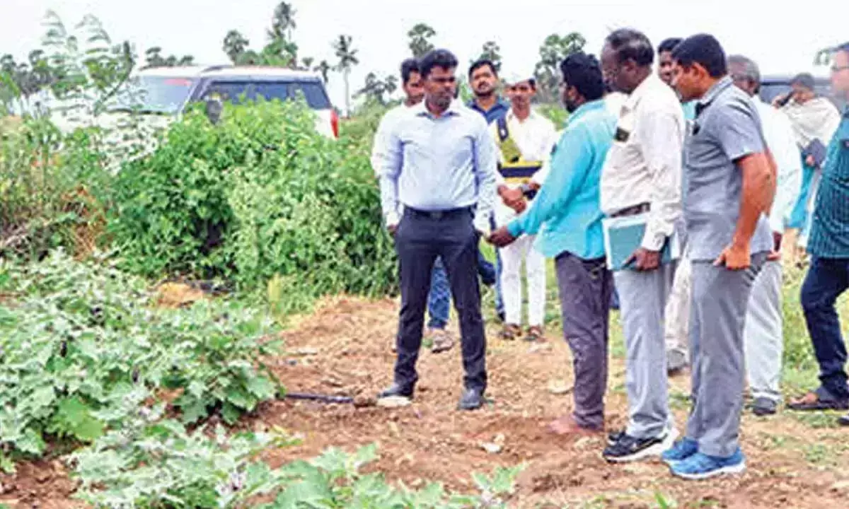 Andhra: किसानों से लाभकारी फसलें उगाने का आग्रह