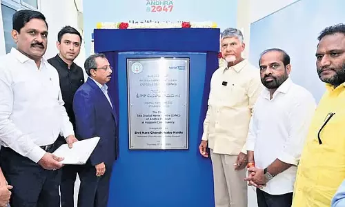 आमों के लिए उचित मूल्य सुनिश्चित करें: CM Naidu