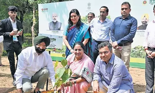 Delhi CM ने माताओं के सम्मान में पेड़ लगाने का आह्वान, ‘वन महोत्सव’ का शुभारंभ