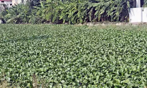 कार्यकर्ताओं ने Uyyankondan नदी की दयनीय स्थिति पर चेतावनी दी कार्यकर्ताओं ने Uyyankondan नदी की दयनीय स्थिति पर चेतावनी दी