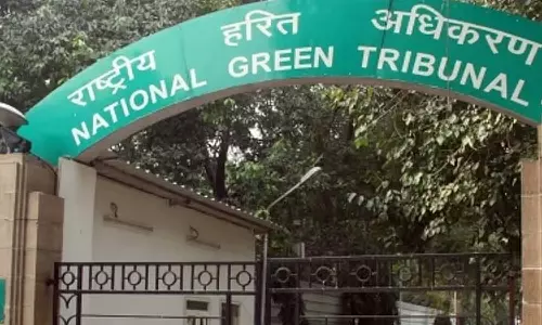 उद्योग के लिए वन भूमि के अवैध हस्तांतरण पर NGT की नजर