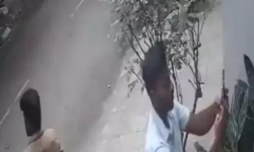 CCTV में कैद हुई लापरवाही, जाति सर्वेक्षण के बिना ही चिपकाए गए स्टिकर CCTV में कैद हुई लापरवाही, जाति सर्वेक्षण के बिना ही चिपकाए गए स्टिकर
