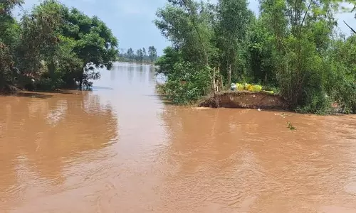 कुरुक्षेत्र के नैसी गांव के पास मारकंडा नदी टूटी, 500 एकड़ से अधिक कृषि भूमि जलमग्न कुरुक्षेत्र के नैसी गांव के पास मारकंडा नदी टूटी, 500 एकड़ से अधिक कृषि भूमि जलमग्न