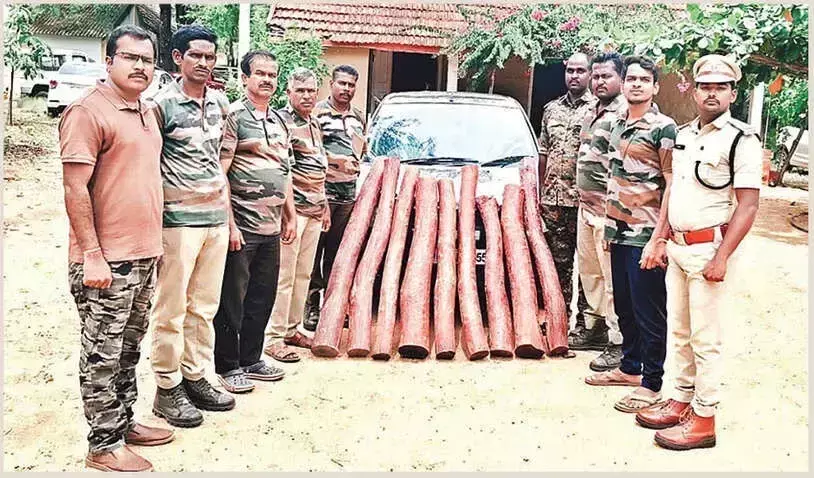 Andhra: 9 लाल चंदन की लकड़ियाँ जब्त की गईं Andhra: 9 लाल चंदन की लकड़ियाँ जब्त की गईं