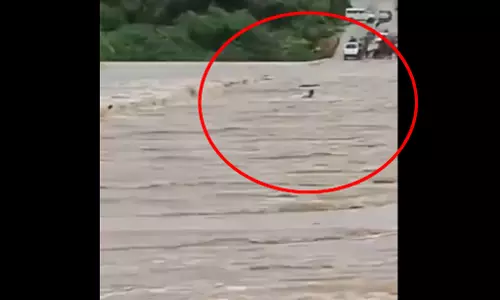 LIVE वीडियो...खौफनाक मंजर देख निकली चीख