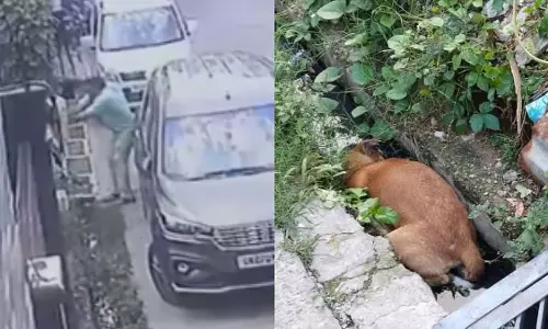 Bijnor : रिटायर्ड PWD इंजीनियर की कुत्ते पर गोलीबारी, जांच शुरू