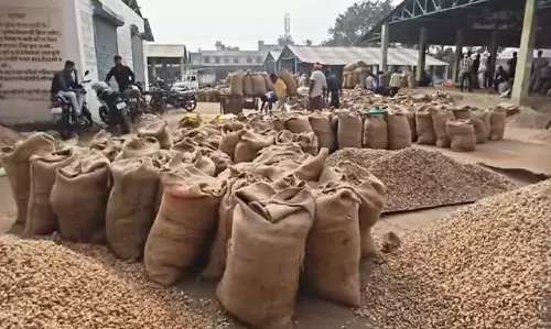 Kamalganj: मंडी में बिना टैक्स मूंगफली, पांच पिकअप ज़ब्त