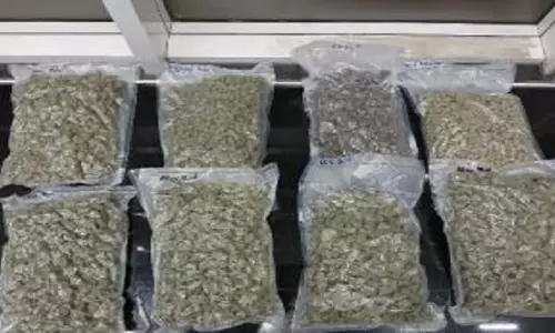ओडिशा के Keonjhar जिले में 15 लाख रुपये का गांजा जब्त, 2 गिरफ्तार ओडिशा के Keonjhar जिले में 15 लाख रुपये का गांजा जब्त, 2 गिरफ्तार