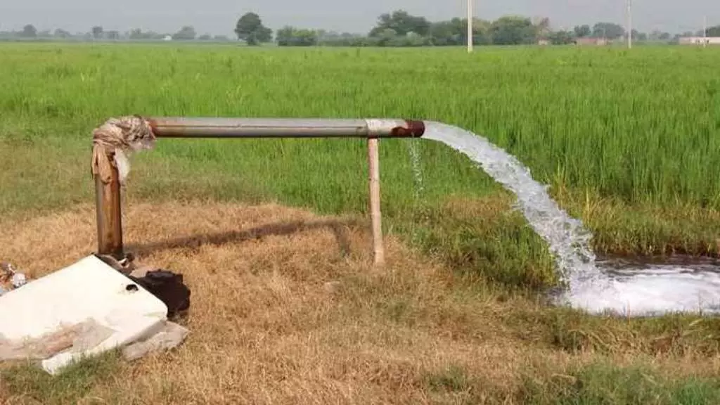 Chandigarh: हरियाणा में ट्यूबवेल कनेक्शन 70 मीटर के भीतर बदलने पर अब मुफ्त सेवा Chandigarh: हरियाणा में ट्यूबवेल कनेक्शन 70 मीटर के भीतर बदलने पर अब मुफ्त सेवा